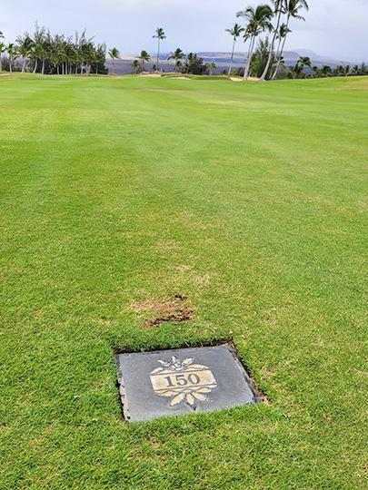 ハワイ島ワイコロアビーチリゾートゴルフ